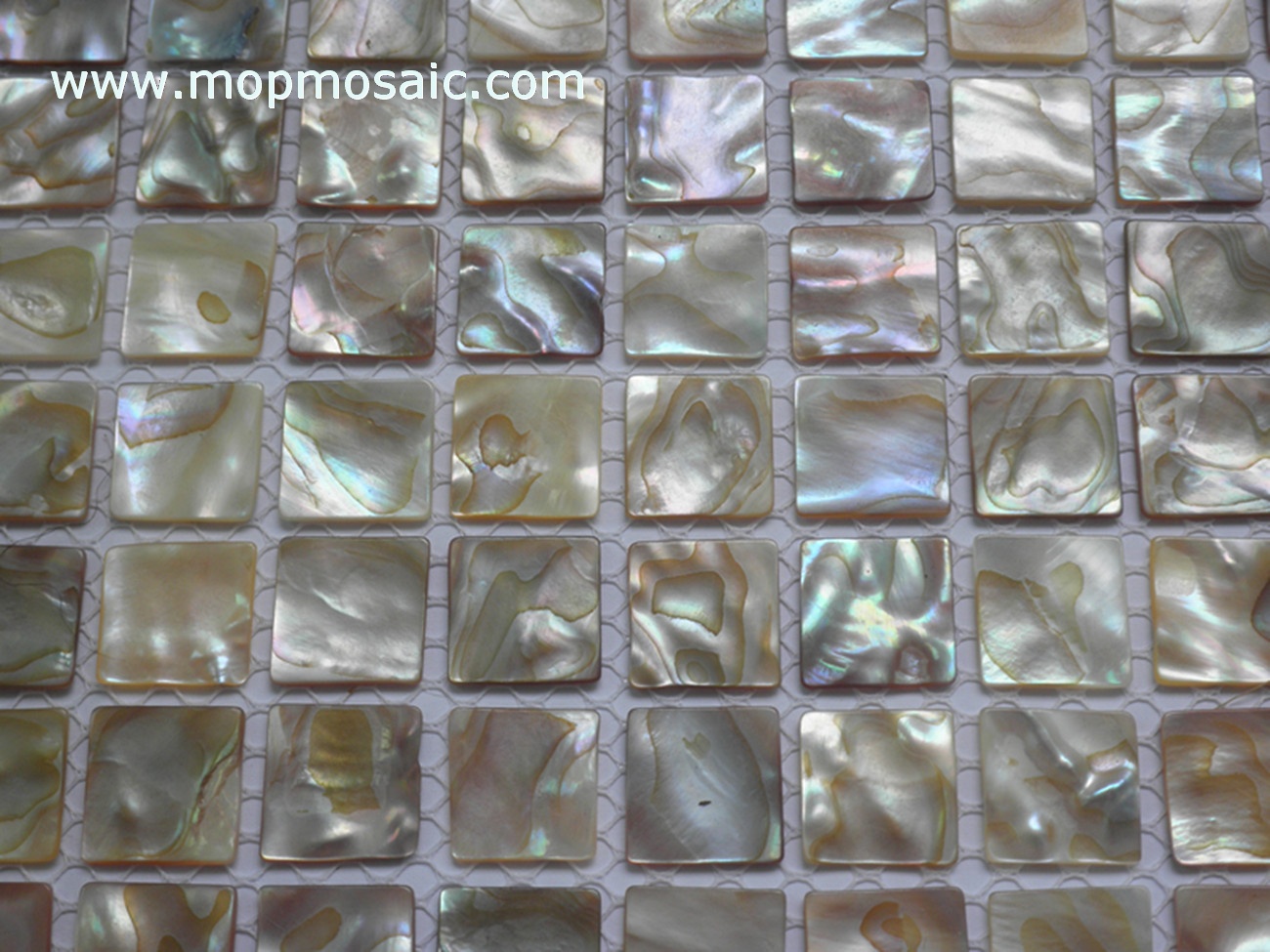 Mother of pearl mosaic(Rianbow dapple shell mosaic)