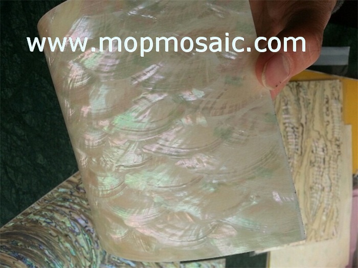 Flexible Korean Abalone shell paper