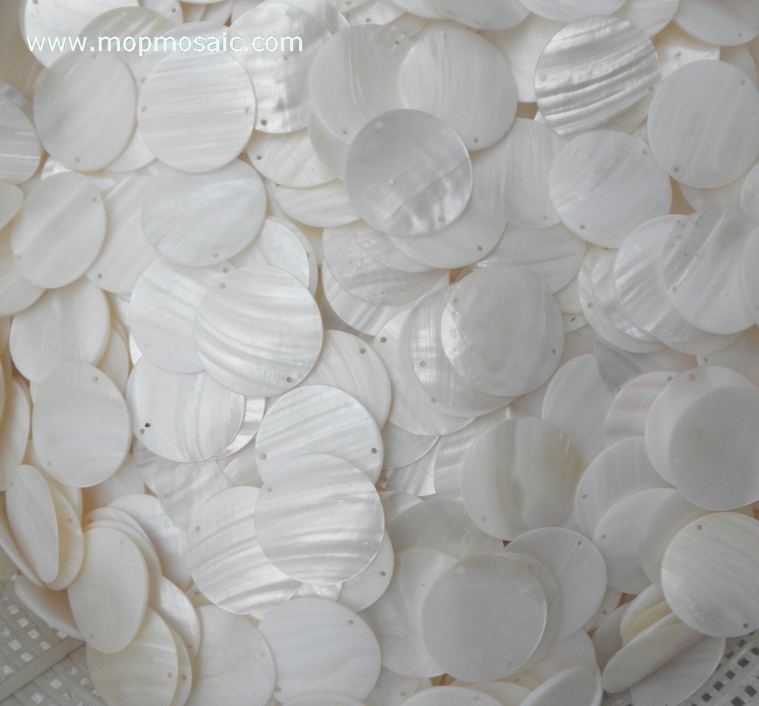 White shell chandelier accessory/shell circles