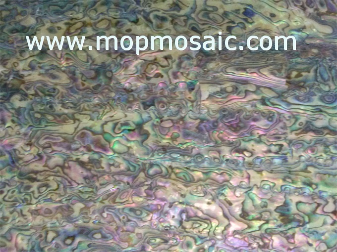 New zealand abalone shell laminate for guitar inlay