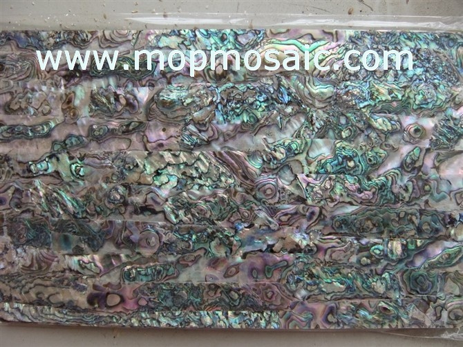 Mexican abalone shell laminate