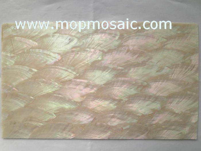 0.5mm thickness angle wing ablone shell laminate for luthier inlay