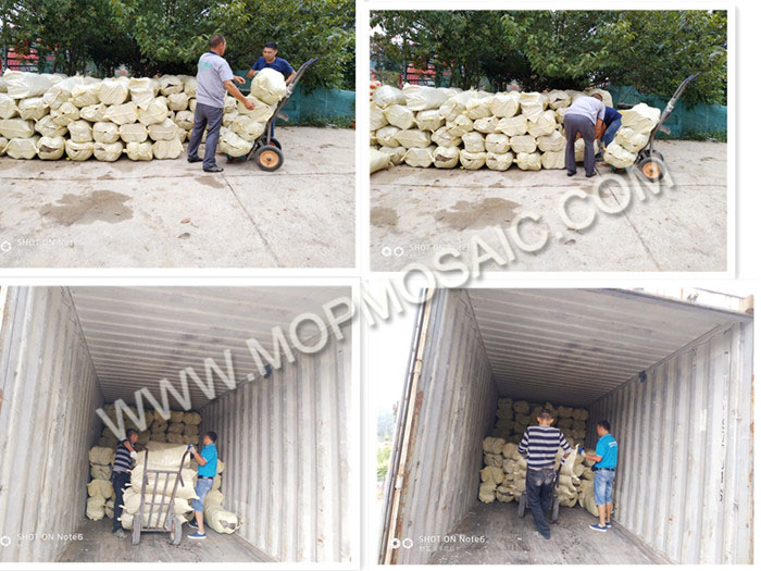 loading chinese river shells
