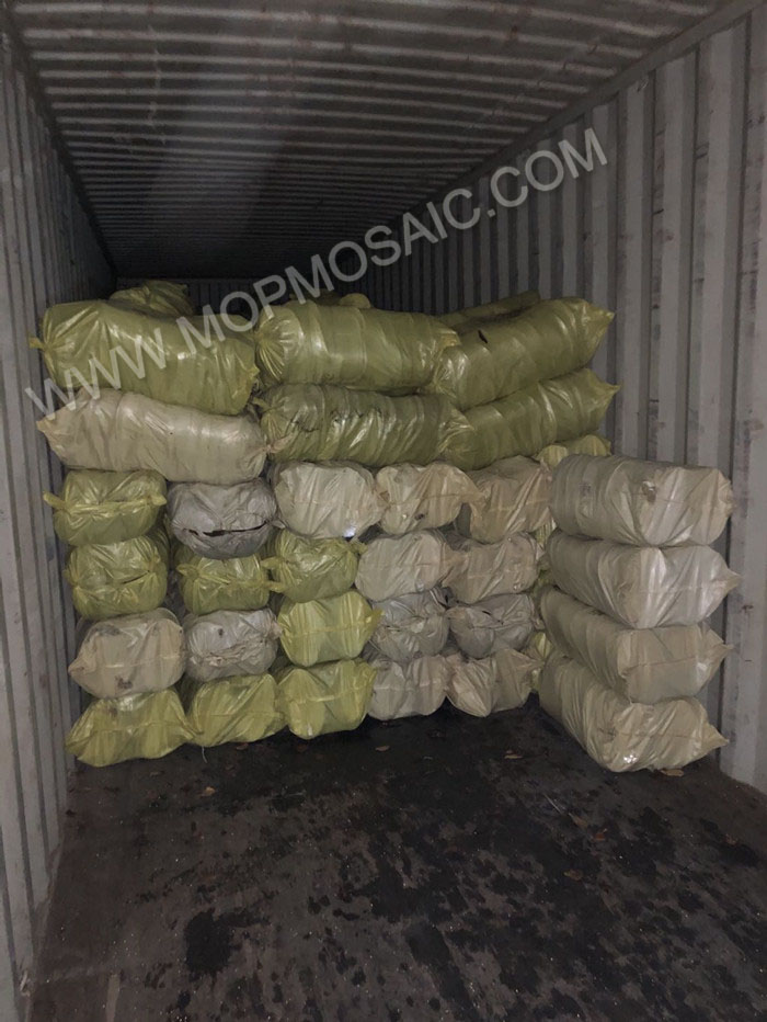Container shipping big chinese river shells material