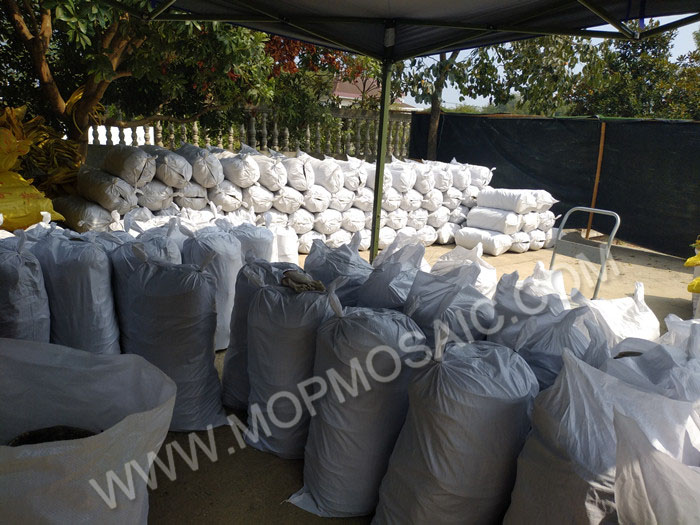 factory directly sales chinese raw mop shells in bulk